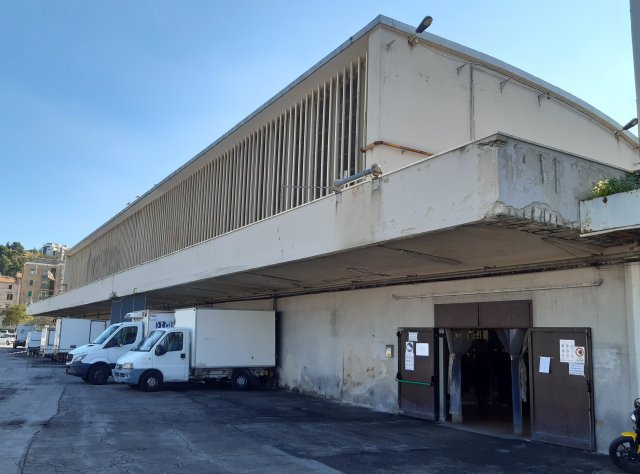 Mercato del pesce Ancona 1